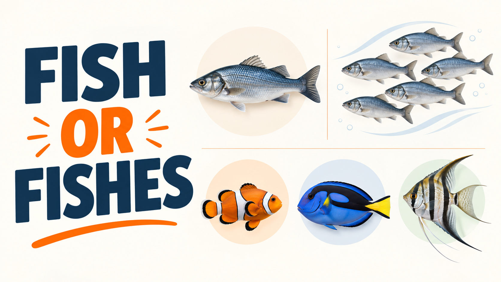 Fish: исчисляемое или неисчисляемое, fish или fishes