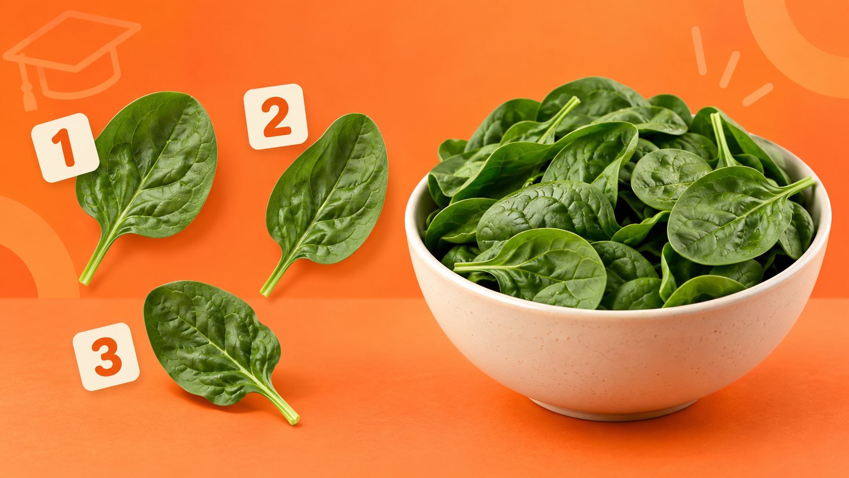 Spinach — исчисляемое или неисчисляемое в английском: правило и примеры